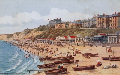 La scogliera occidentale, Bournemouth da Alfred Robert Quinton